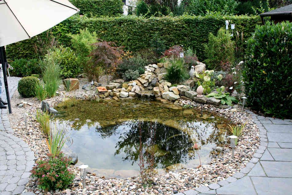 Fischteich im Garten