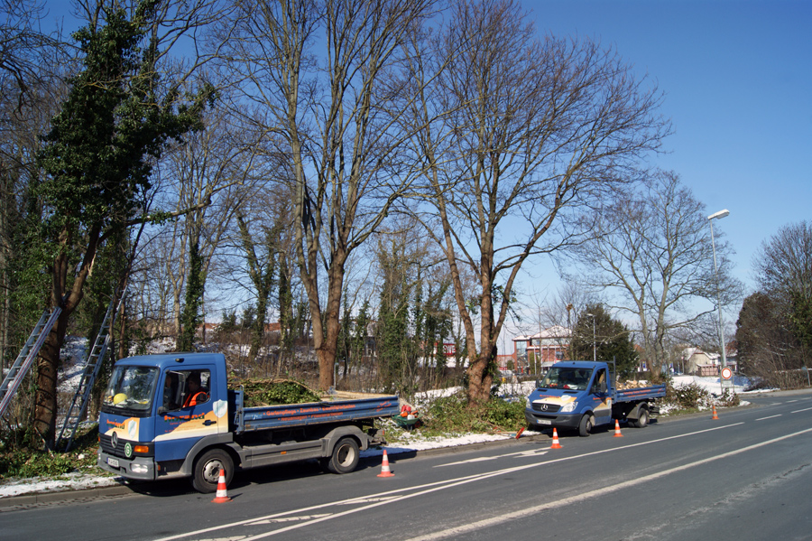 Horand Gartenbau im Einsatz