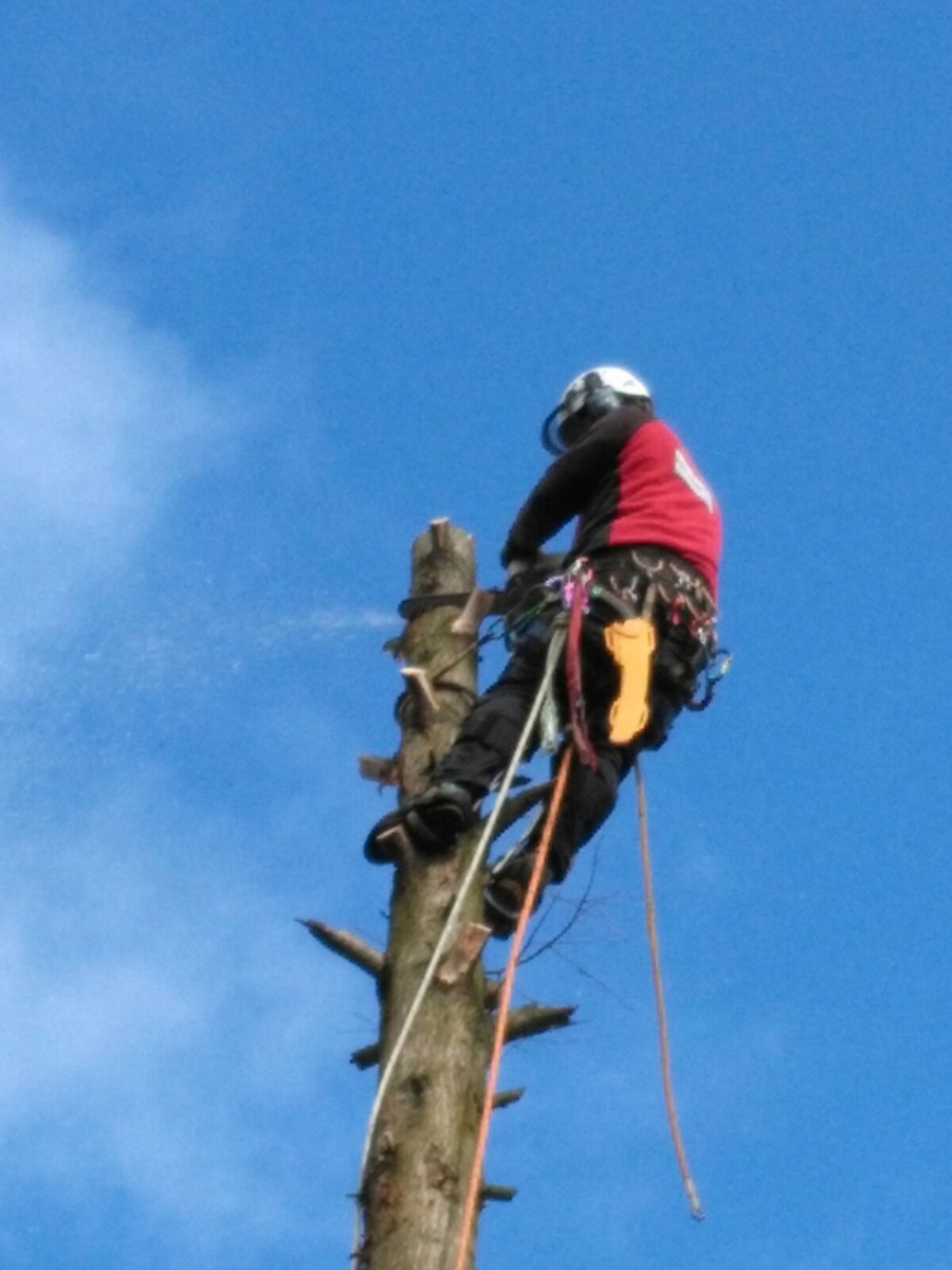 Seil-Kletter-Technik